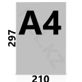 А4 (210*297мм.)