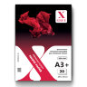 53W200-A3+-20 Фотобумага для струйной печати X-GREE Глянцевая Premium A3+*330x482мм/20л/200г NEW (25)