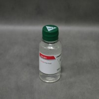 Промывочная  жидкость Lomond (100мл.)   Epson (L0205741)